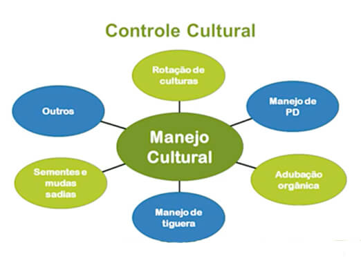 Imagem sobre controle cultural de nematoides
