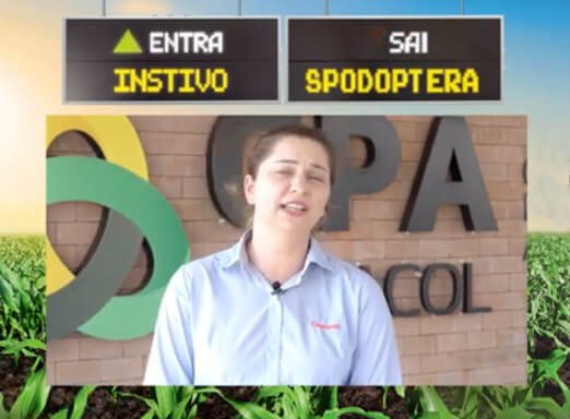 Pesquisadora Gabriele Hoelscher