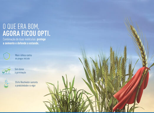 Tratamento de sementes Cruiser® Opti Trigo