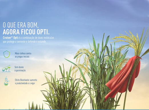 Tratamento de sementes Cruiser® Opti Arroz