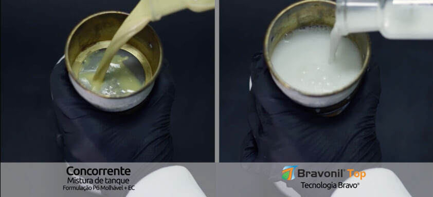 Comparativo em laboratório de Bravonil Top para batata com concorrente