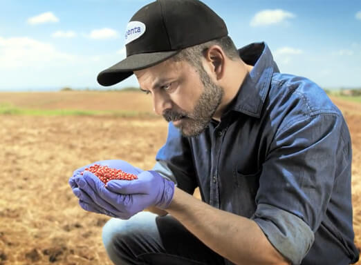 Homem olhando punhado de sementes de soja tratadas