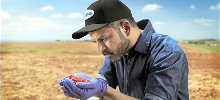 Homem olhando punhado de sementes de soja tratadas