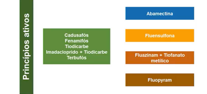 Ilustração sobre Controle Químico de Nematoides