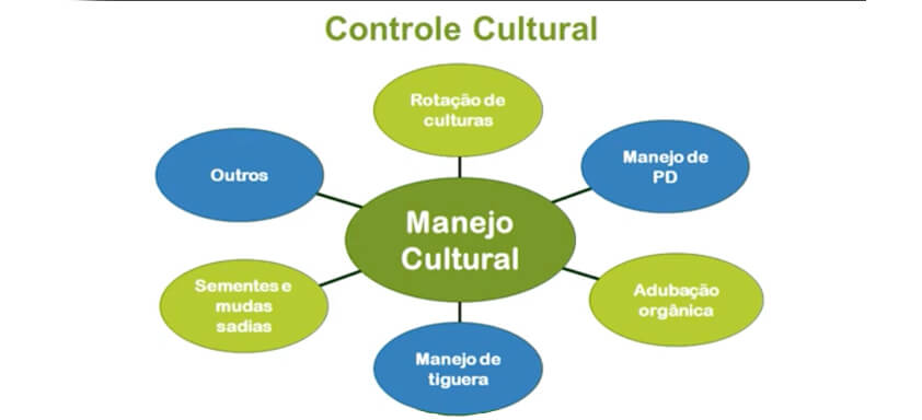 Ilustração sobre Controle Cultural de Nematoides