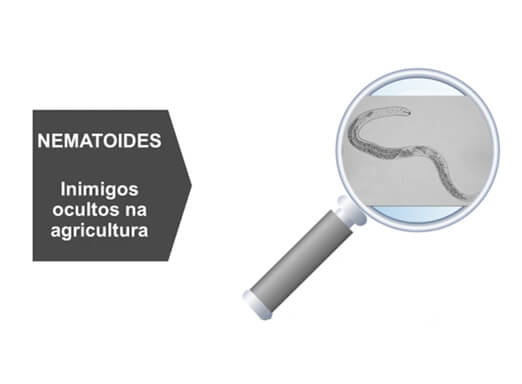 Ilustração de nematoide