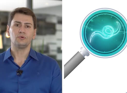 Nematologista Fernando Godinho e ilustração de nematoide