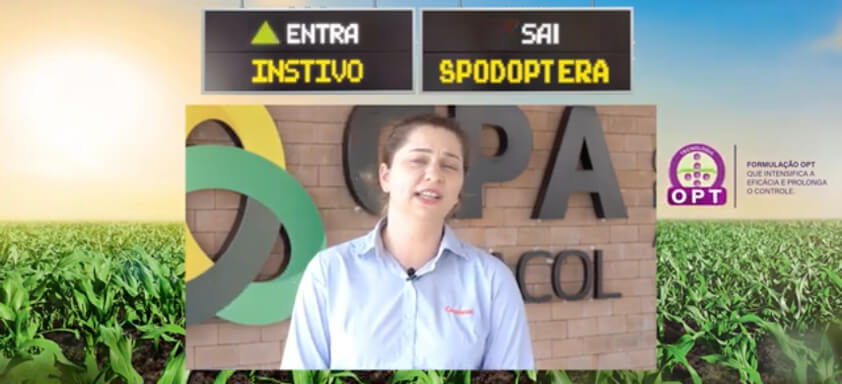 Pesquisadora Gabriele Hoelscher