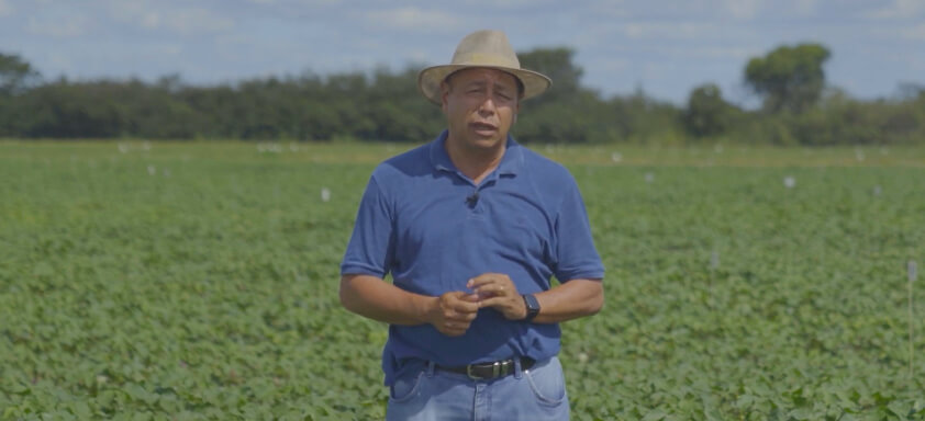 Engenheiro agrônomo Luis Henrique Kasuya