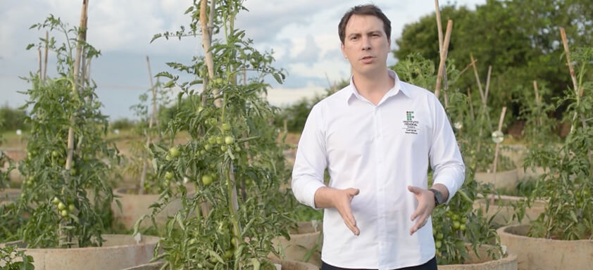 Fitopatologista Nedson Pontes