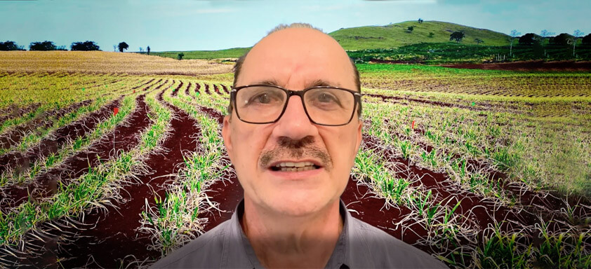 Professor Pedro Christoffoleti