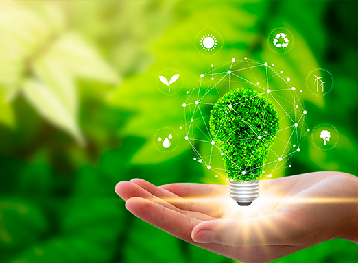 Boas práticas agrícolas