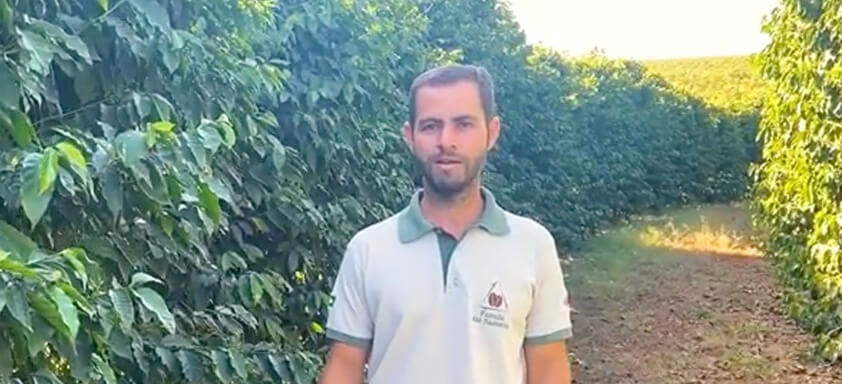 Produtor de café Daniel Puntel