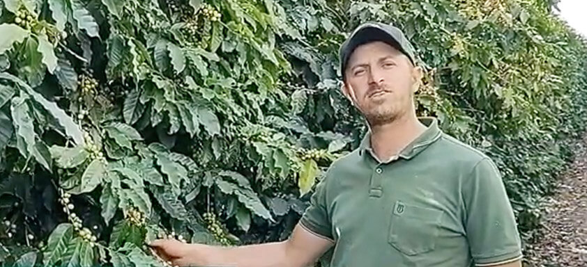 Produtor de café Matheus de Paula Rodrigues