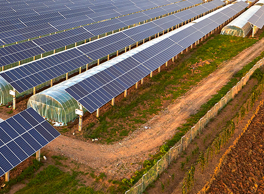 Energia solar no agro