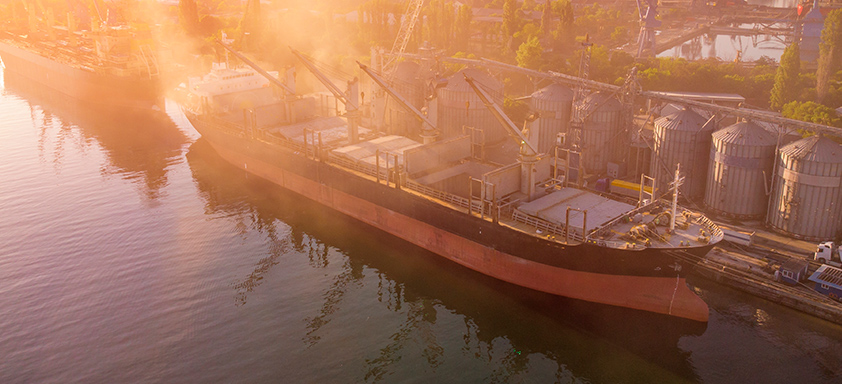 Exportação milho brasileiro