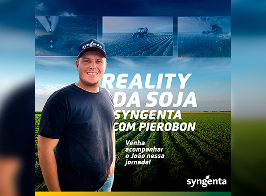Reality da Soja Syngenta com Pierobon na safra 2022/23
