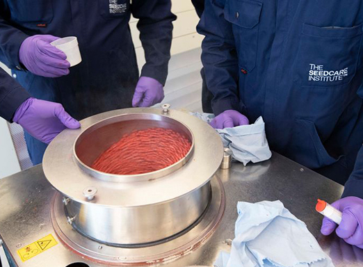 Reality da Soja Syngenta com Pierobon na safra 2022/23 - Visita ao Seedcare Institute