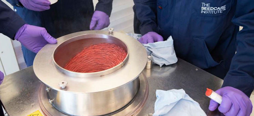 Reality da Soja Syngenta com Pierobon na safra 2022/23 - Visita ao Seedcare Institute