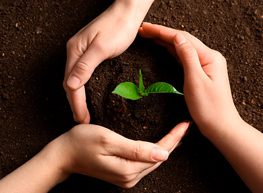 conservação dos solos