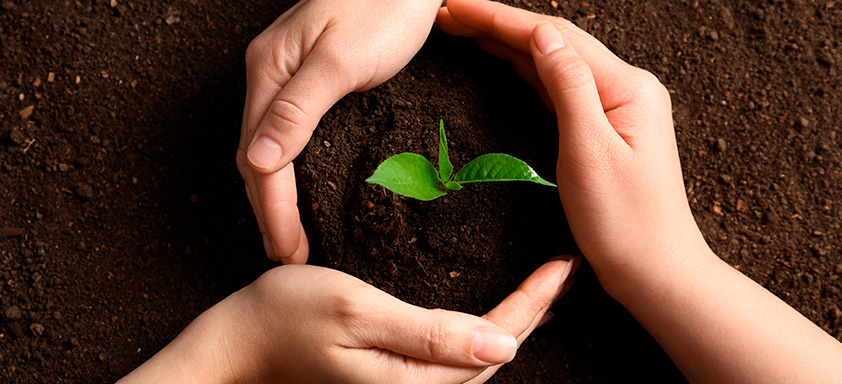 conservação dos solos