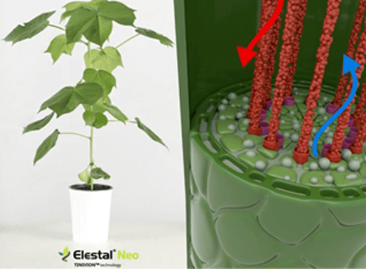 Conheça Elestal® Neo e a sua alta tecnologia de controle.