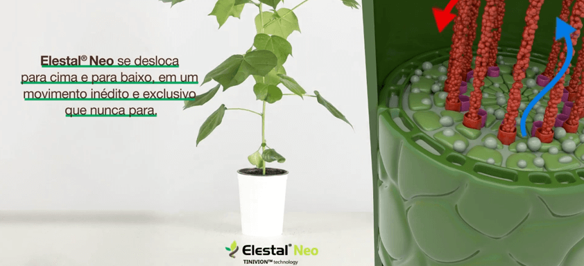 Conheça Elestal® Neo e a sua alta tecnologia de controle.