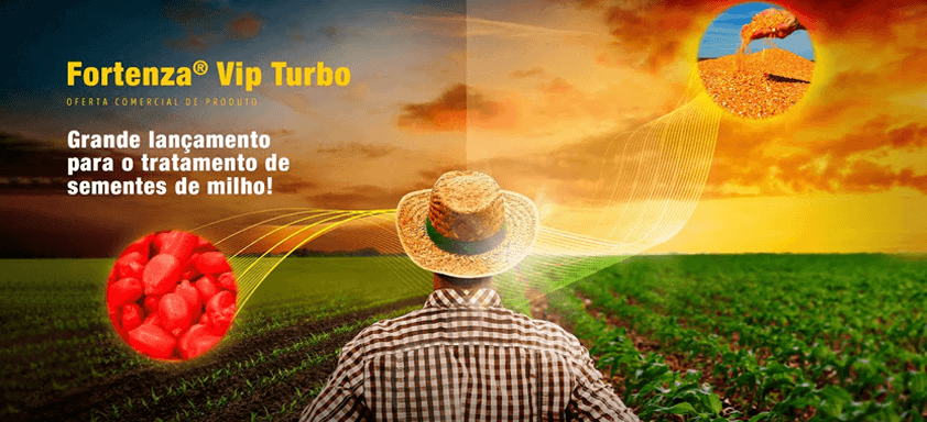 Produtor diante da plantação de milho