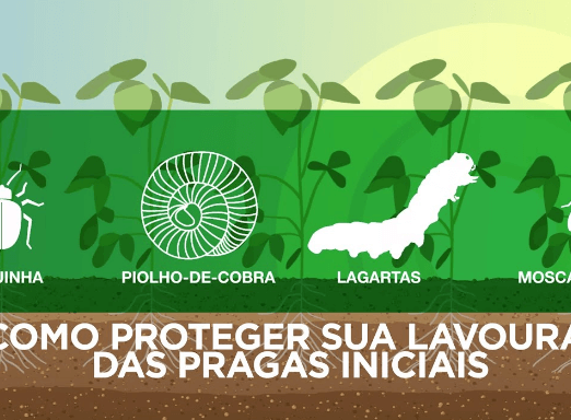 Como proteger sua lavoura das pragas iniciais?