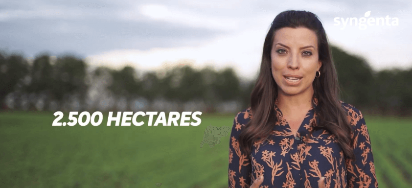 Novas lagartas surgiram nas lavouras de soja