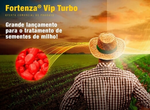 Produtor diante da plantação de milho