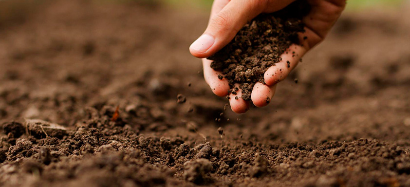 Sustentabilidade capa