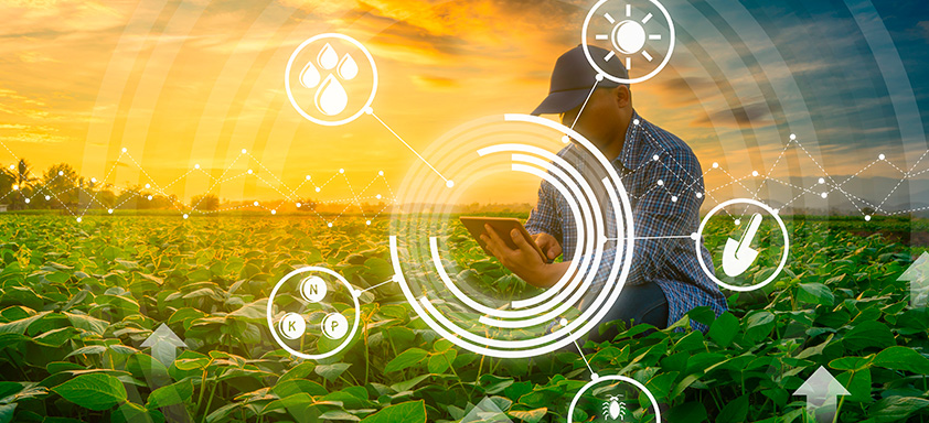 Sustentabilidade capa