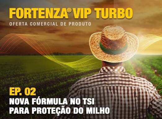 Produtor diante da plantação de milho