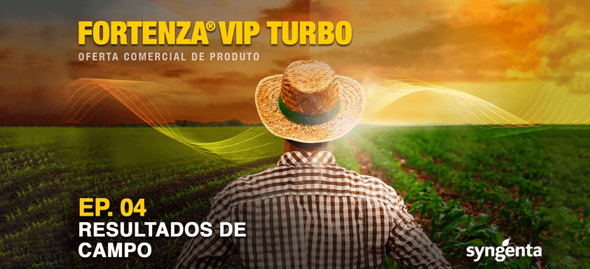 Agricultor diante de plantação de milho