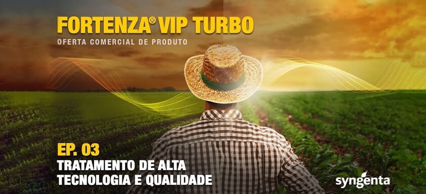 Produtor diante da plantação de milho