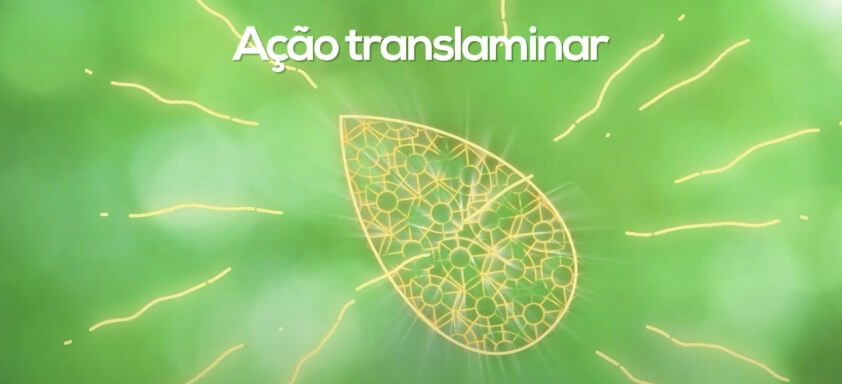 Imagem ilustrativa de ação translaminar