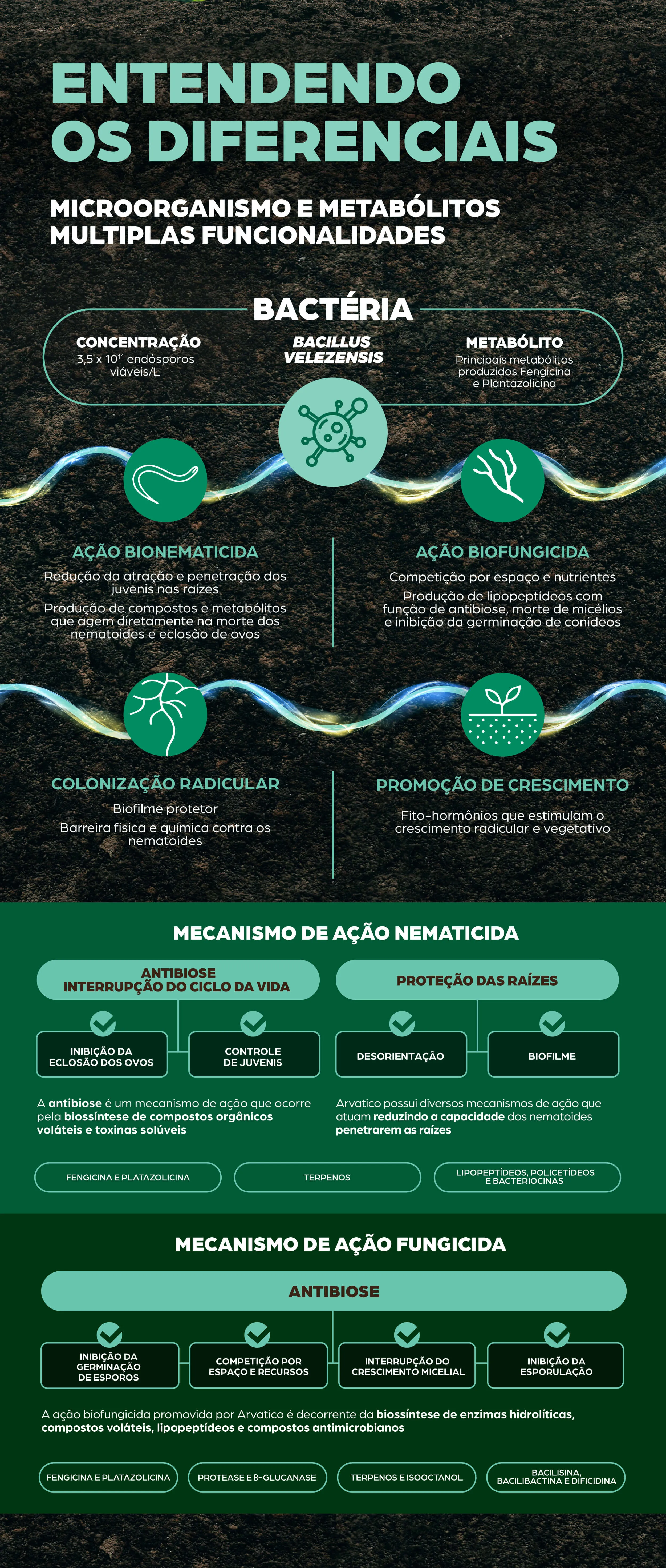 Diferenças entre microorganismos e metabólitos