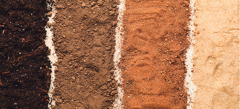 Novos Episódios Aplica Certo