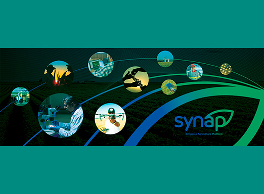 synap