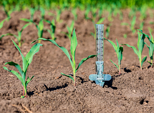 el nino e agricultura