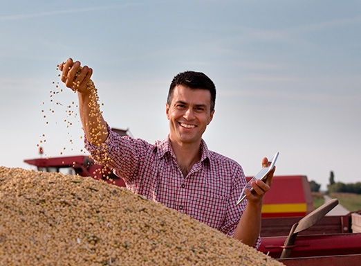 clima e mercado de graos