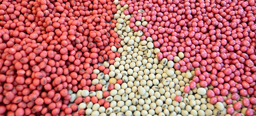 tratamento de sementes soja