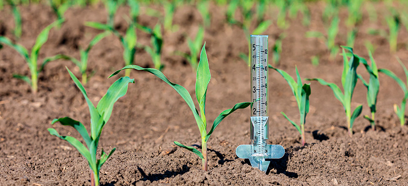 el nino e agricultura