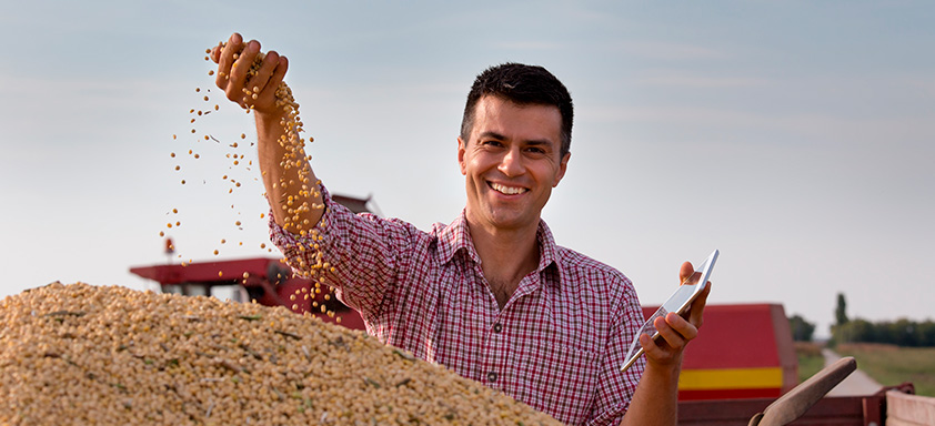 clima e mercado de graos