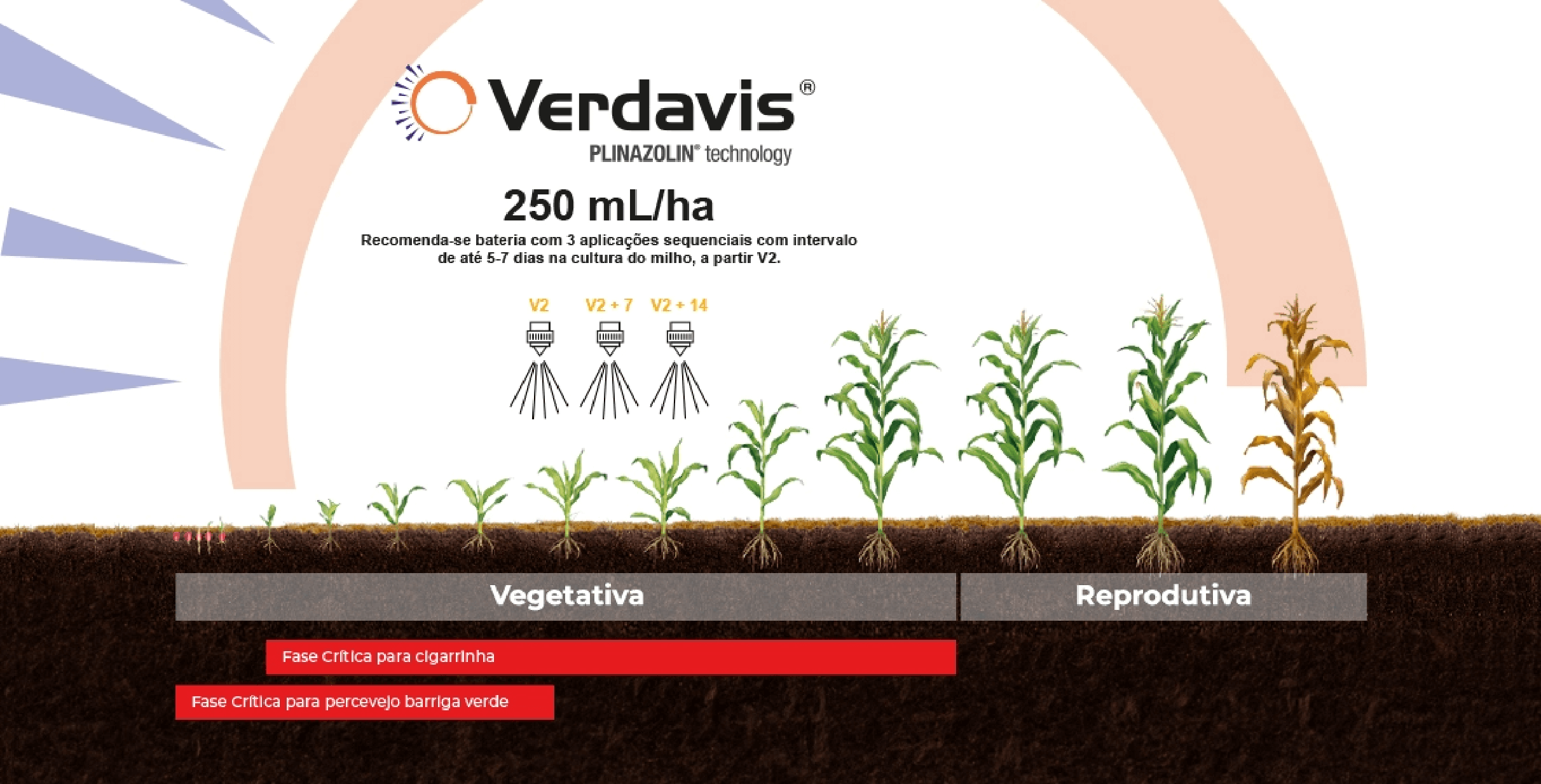 Verdavis Milho | Portal Syngenta