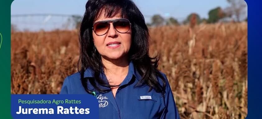 Pesquisadora Agro Rattes, Jurema Rattes