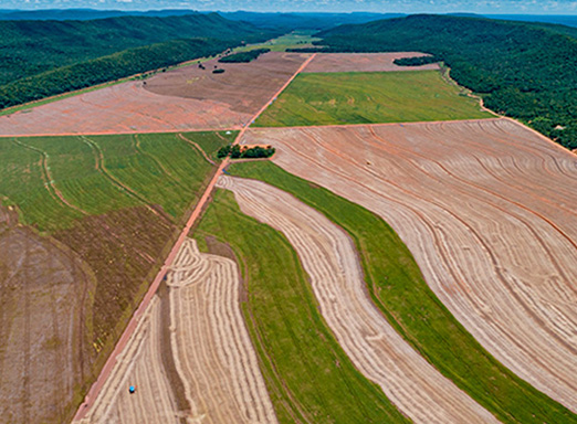 Calaris Manejo Antecipado
