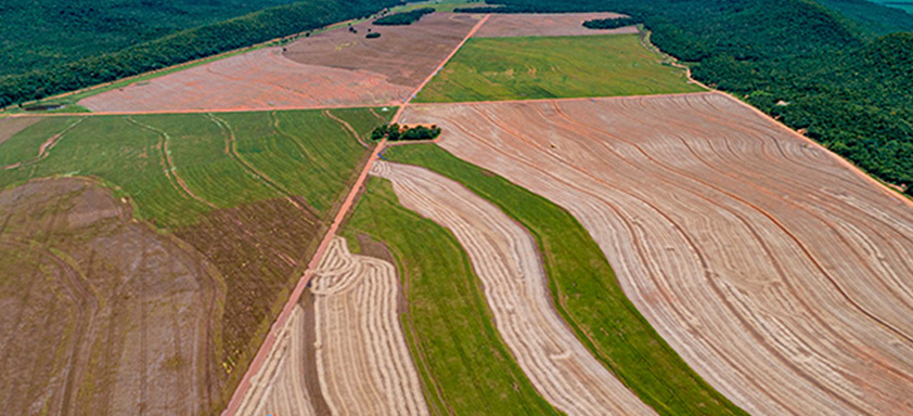 Calaris Manejo Antecipado