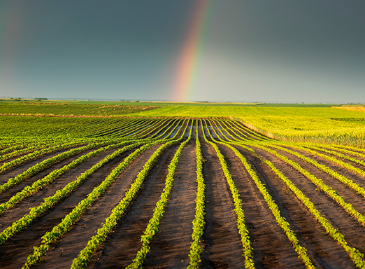 previsao do tempo safra 2023/24